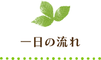 一日の流れ