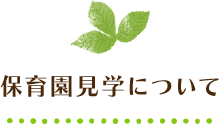 保育園見学について